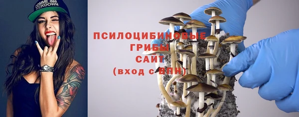 ECSTASY Абаза