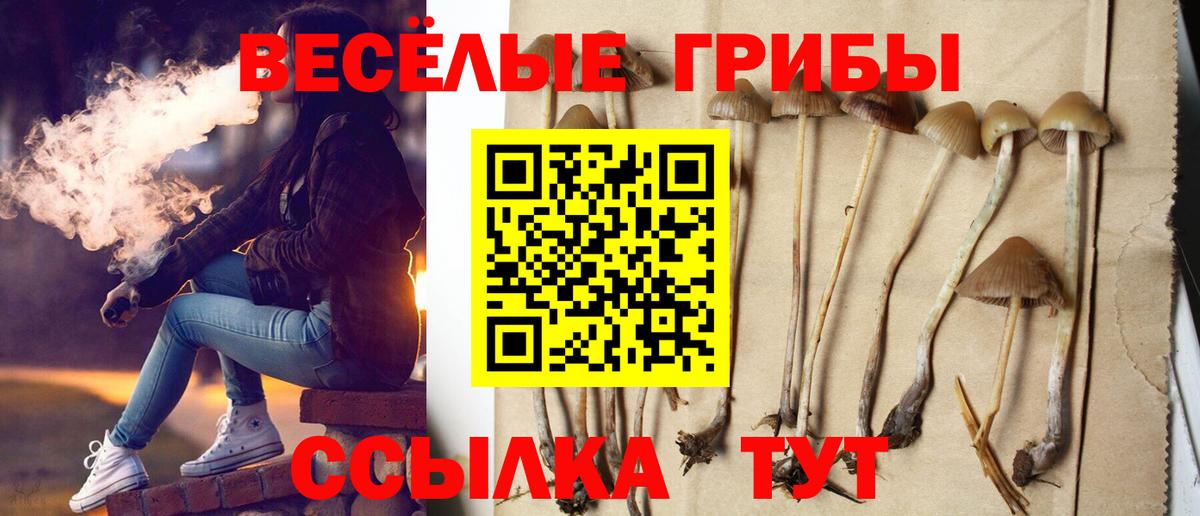 Галлюциногенные грибы GOLDEN TEACHER Нальчик